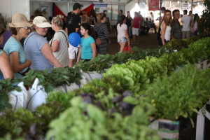 Visitantes recebem informações para organizar hortas em pequenos espaços